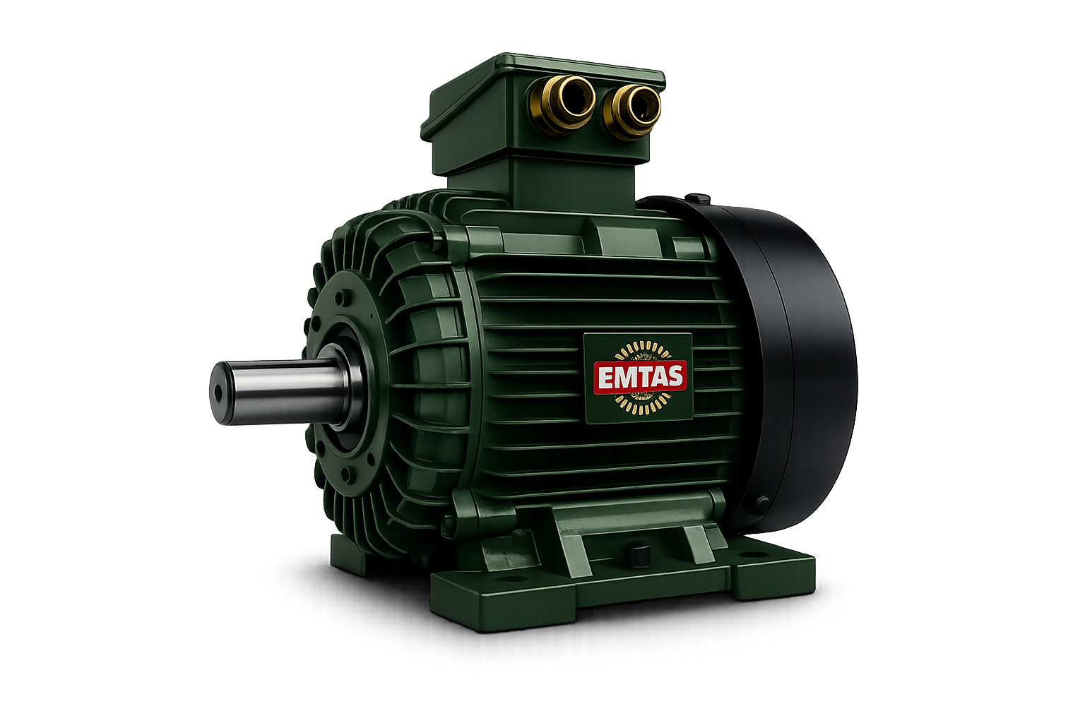 Standart Motor